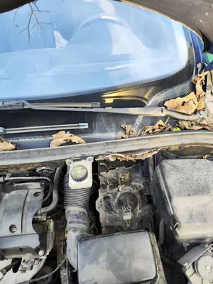 Foto de BRAZO LIMPIA DELANTERO IZQUIERDO PEUGEOT 307 (S1)(04.2001) 1.6 16V CAT (109 CV / 80 KW) referencia 6429S9