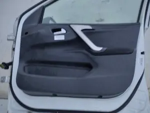Foto de GUARNECIDO PUERTA DELANTERA IZQUIERDA CITROEN C-ELYSÉE 1.6 HDi FAP (92 CV / 68 KW) foto 2