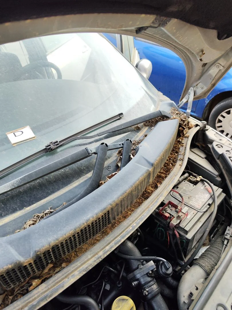 Foto de MOTOR LIMPIA DELANTERO RENAULT SCENIC II (JM) 1.9 dCi Diesel (120 CV / 88 KW) referencia 7701056003