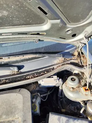Foto de BRAZO LIMPIA DELANTERO IZQUIERDO SEAT CORDOBA BERLINA (6L2) 1.4 16V (75 CV / 55 KW) referencia 6L1955409C