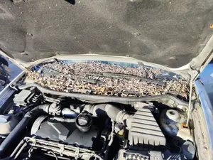 Foto de ARTICULACION LIMPIA DELANTERA SEAT CORDOBA BERLINA (6L2) 1.9 TDI (131 CV / 96 KW) referencia 6L1955601