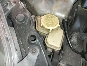 Foto de BOMBA DIRECCION FORD FIESTA (CBK) 1.25 16V CAT (69 CV / 51 KW) referencia 1426694