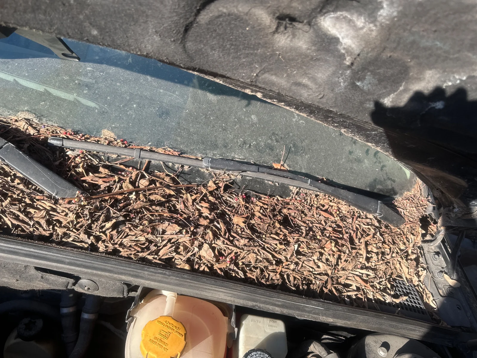 Foto de BRAZO LIMPIA DELANTERO IZQUIERDO SAAB 9-3 BERLINA 1.9 TiD CAT (150 CV / 110 KW) referencia 12778385