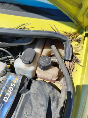 Foto de DEPOSITO EXPANSION RENAULT TWINGO I (C06) 1.2  (75 CV / 55 KW) referencia 7701473018