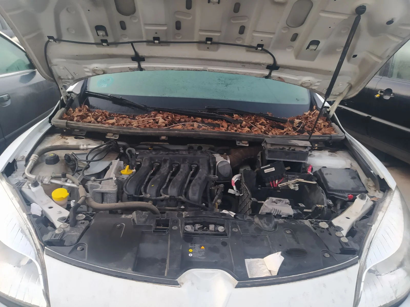 Foto de CAJA FILTRO AIRE RENAULT MEGANE III BERLINA 5P 1.6 16V CAT (101 CV / 74 KW) referencia 8200947663