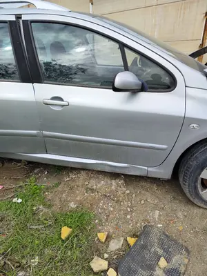Foto de PUERTA DELANTERA DERECHA PEUGEOT 307 BREAK/ SW (S2) 2.0 16V HDi FAP CAT (RHR / DW10BTED4) (136 CV / 100 KW) referencia 9004S8