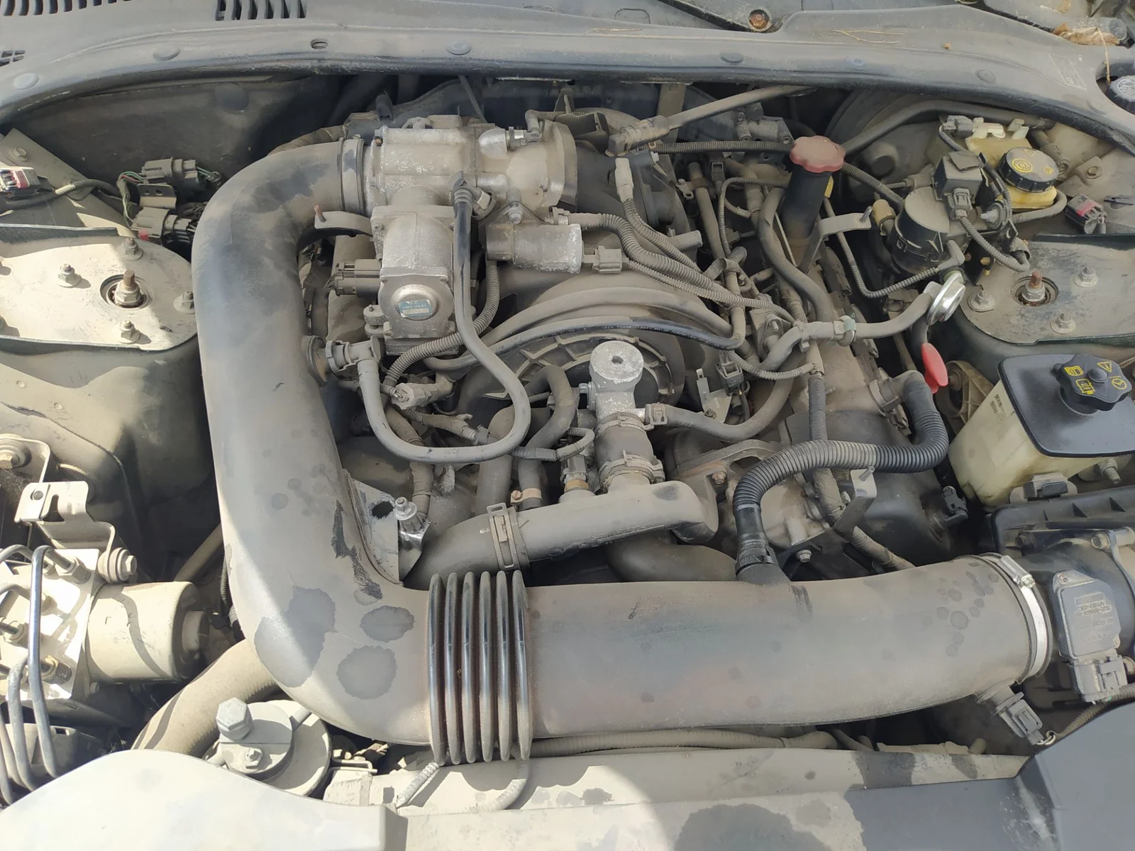 Foto de MOTOR ARRANQUE JAGUAR S-TYPE (03.1999) 4.0 V8 32V CAT (276 CV / 203 KW)