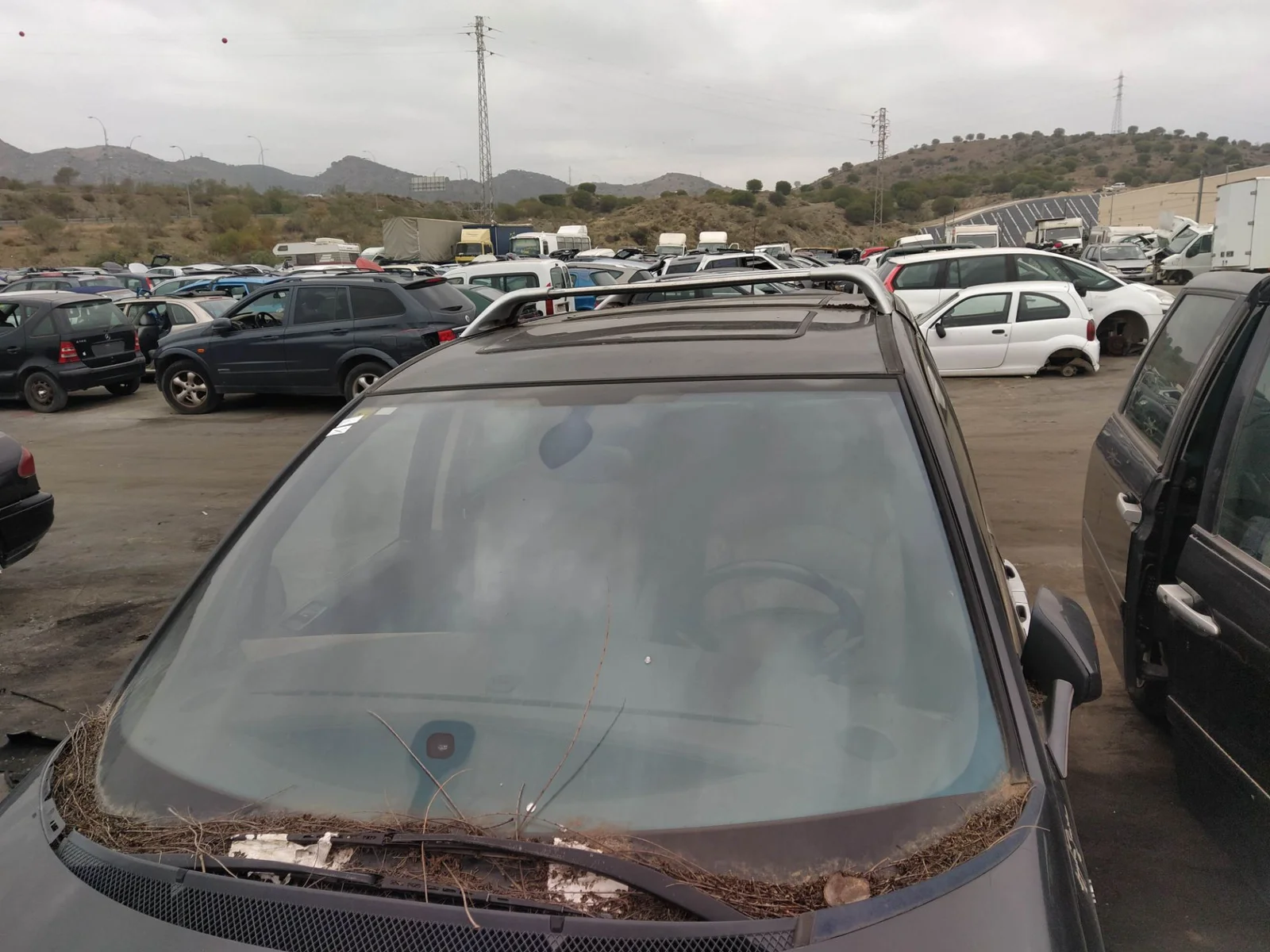 Foto de TECHO PEUGEOT 807 2.2 HDi FAP CAT (4HW) (128 CV / 94 KW) referencia 8301Q5
