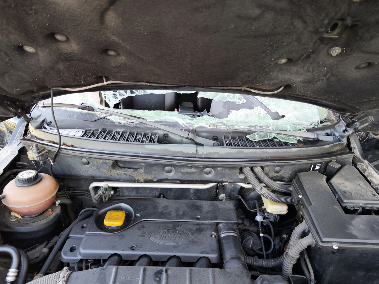 Foto de ARTICULACION LIMPIA DELANTERA LAND ROVER FREELANDER (LN) 2.0 Td4 CAT (109 CV / 80 KW) referencia DLB500090