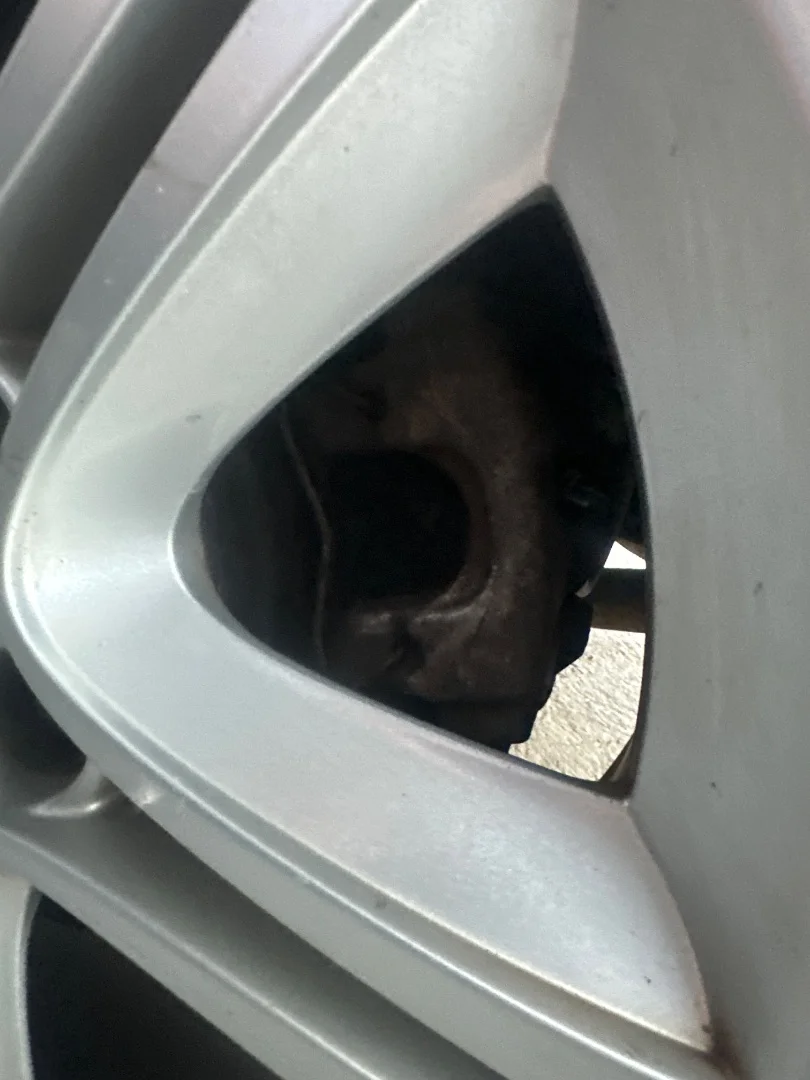 Foto de PINZA DE FRENO TRASERA IZQUIERDA SAAB 9-3 BERLINA 1.9 TiD CAT (150 CV / 110 KW) referencia 93172184