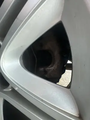 Foto de PINZA DE FRENO TRASERA IZQUIERDA SAAB 9-3 BERLINA 1.9 TiD CAT (150 CV / 110 KW) referencia 93172184