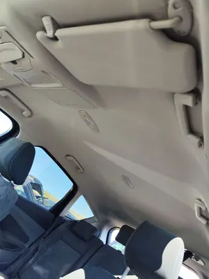 Foto de TECHO INTERIOR FORD C-MAX (CB7) 1.6 TDCi CAT (116 CV / 85 KW) referencia 1718892