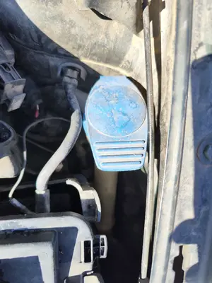 Foto de DEPOSITO LIMPIA SEAT IBIZA (6L1) 1.9 TDI (101 CV / 74 KW)