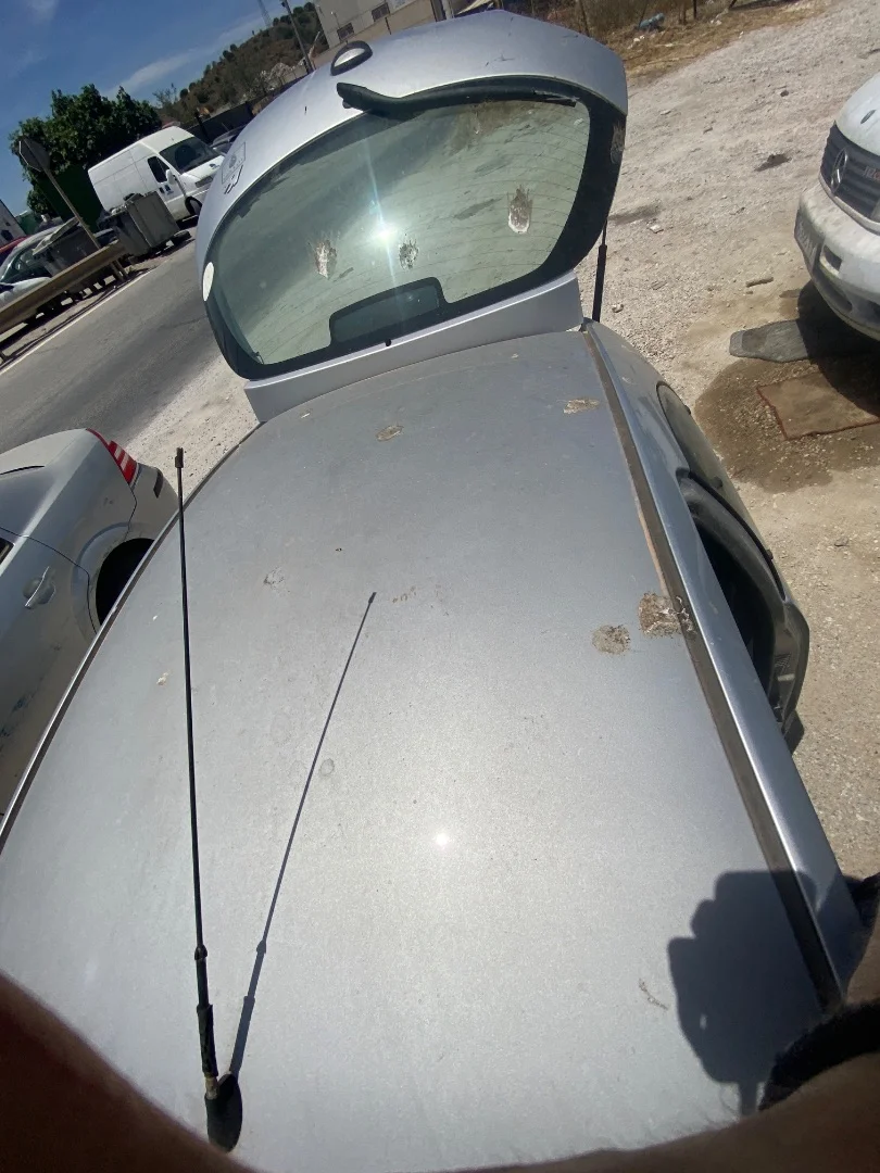 Foto de TECHO FORD KA (CCQ) 1.3 CAT (69 CV / 51 KW) referencia 1092482