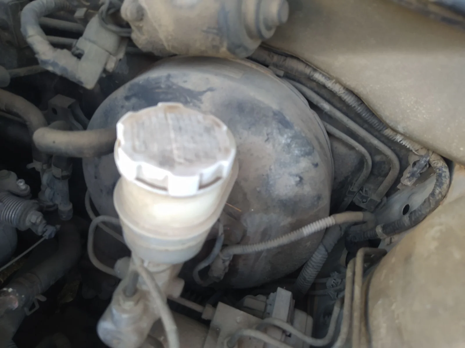 Foto de SERVOFRENO KIA RIO (BC) 1.3 CAT (75 CV / 55 KW)