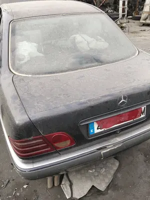 Foto de PORTON TRASERO MERCEDES-BENZ CLASE E (BM 210) BERLINA 2.9 Turbodiesel CAT (129 CV / 95 KW) referencia A210750007528