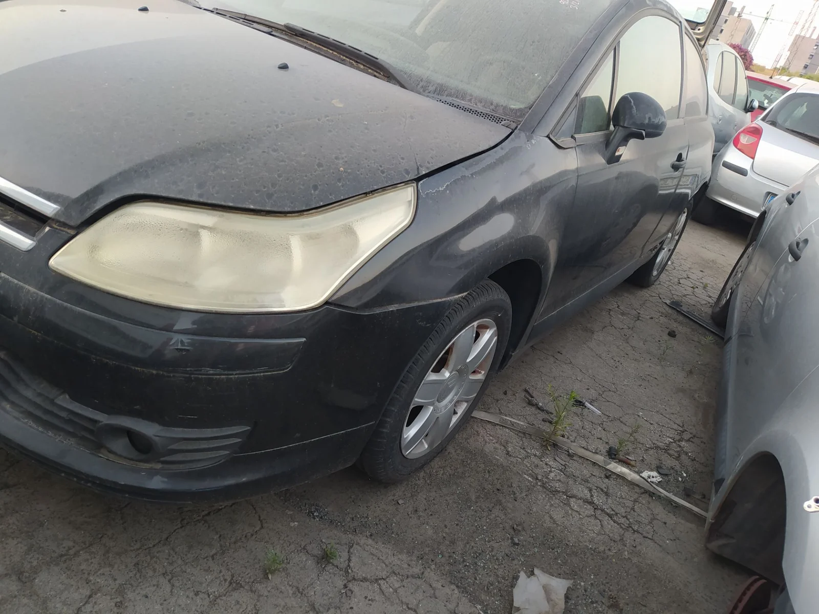Foto de BARRA ESTABILIZADORA DELANTERA CITROEN C4 COUPE 1.6 16V CAT (NFU / TU5JP4) (109 CV / 80 KW) referencia 5081E7
