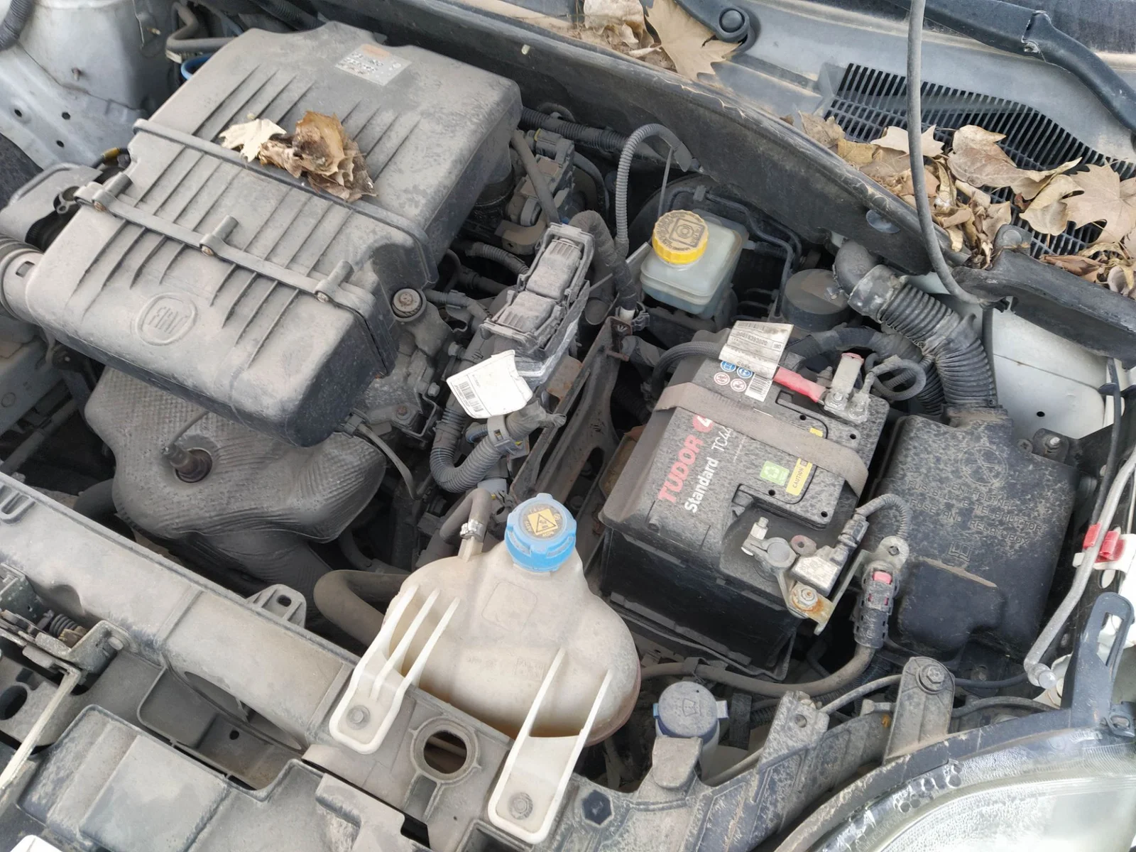 Foto de ALTERNADOR FIAT III PUNTO (199) 1.4 CAT (78 CV / 57 KW) referencia 0052003529
