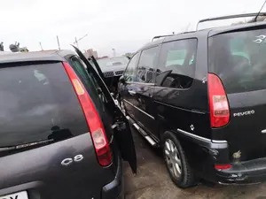 Foto de MANGUETA TRASERA IZQUIERDA PEUGEOT 807 2.2 HDi FAP CAT (4HW) (128 CV / 94 KW)