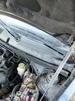 Foto de MOTOR LIMPIA TRASERO FIAT STILO (192) 1.9 JTD CAT (116 CV / 85 KW)