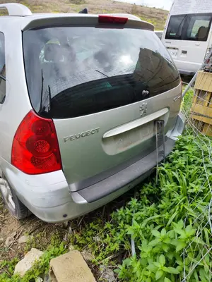 Foto de PORTON TRASERO PEUGEOT 307 BREAK/ SW (S2) 2.0 16V HDi FAP CAT (RHR / DW10BTED4) (136 CV / 100 KW) referencia 8701Q4