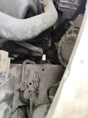 Foto de ALTERNADOR JAGUAR X-TYPE 2.1 V6 24V CAT (156 CV / 115 KW) referencia C2S 40072