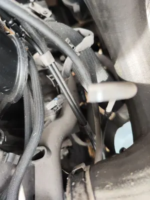 Foto de MOTOR ARRANQUE PEUGEOT 307 BREAK/ SW (S2) 2.0 16V HDi FAP CAT (RHR / DW10BTED4) (136 CV / 100 KW) referencia 5802Z5