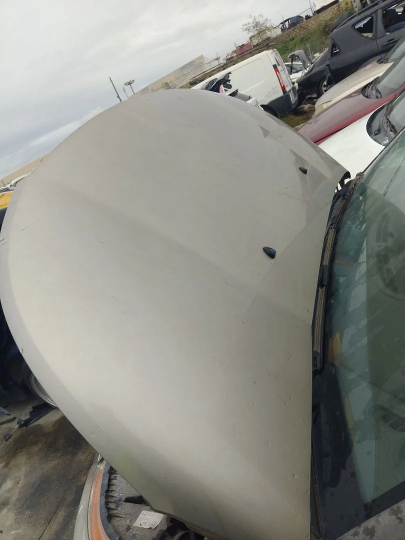 Foto de CAPO CITROEN C3 PICASSO 1.6 16V (120 CV / 88 KW) referencia 7901Q7