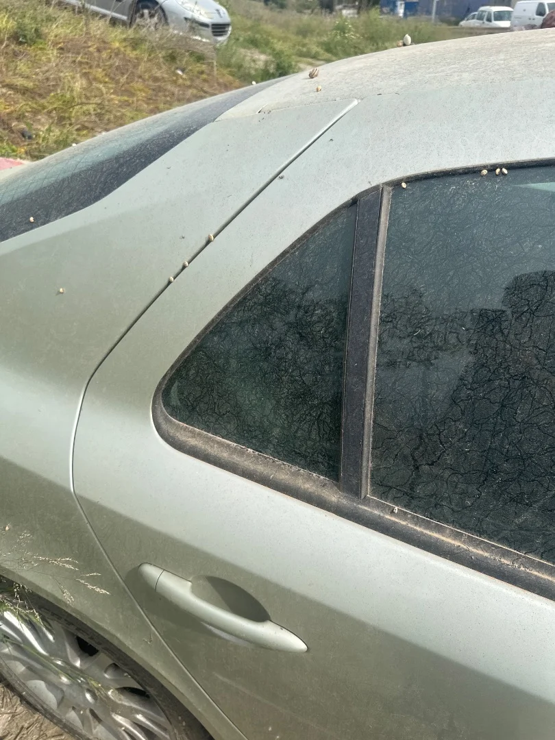Foto de LUNA CUSTODIA TRASERA DERECHA RENAULT LAGUNA II (BG0) 2.0 (135 CV / 99 KW)