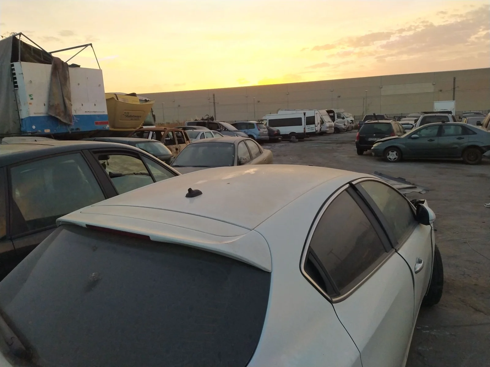 Foto de TECHO ALFA ROMEO GIULIETTA (191) 1.6 JTDM CAT (105 CV / 77 KW) referencia 0050509078