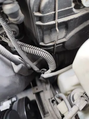 Foto de INTERCOOLER VOLKSWAGEN GOLF IV BERLINA (1J1)(10.1997) 1.9 TDI (131 CV / 96 KW) referencia 1J0145803M