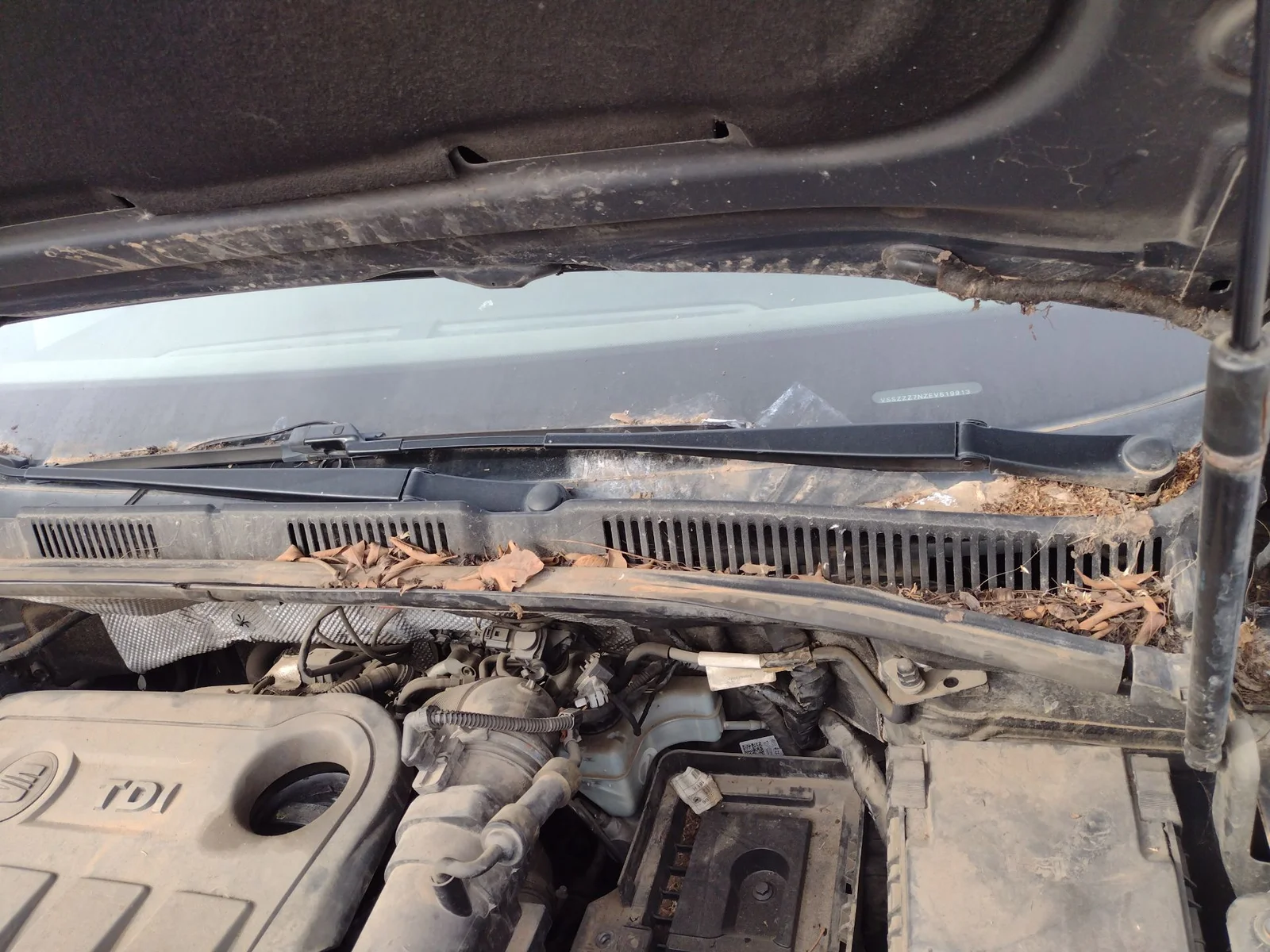 Foto de BRAZO LIMPIA DELANTERO DERECHO SEAT ALHAMBRA (710) 2.0 TDI (140 CV / 103 KW) referencia 7N1955410C
