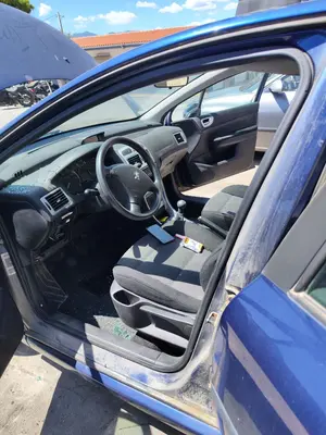 Foto de GOMAS CONTORNO PUERTA PEUGEOT 307 BERLINA (S2) 1.4 16V CAT (KFU / ET3J4) (88 CV / 65 KW)