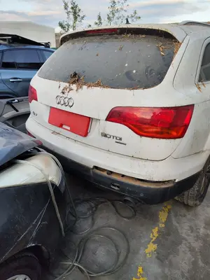 Foto de PORTON TRASERO AUDI Q7 (4L) 3.0 V6 24V TDI (233 CV / 171 KW) referencia 4L0827023
