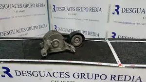 Foto de TENSOR CORREA AUXILIAR AUDI A3 (8P1) referencia 03G903315A