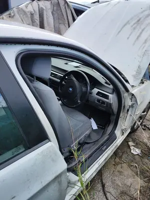 Foto de GOMAS CONTORNO PUERTA BMW SERIE 3 BERLINA (E90) 2.0 Turbodiesel CAT (143 CV / 105 KW)