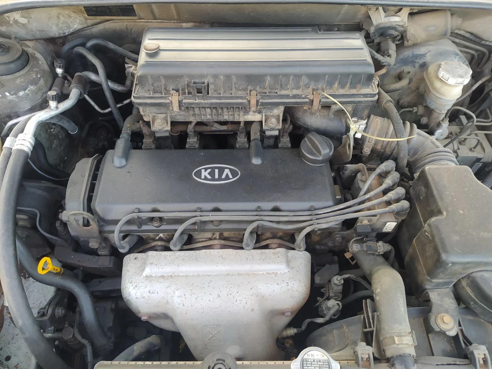 Foto de TUBO KIA RIO (BC) 1.3 CAT (75 CV / 55 KW)