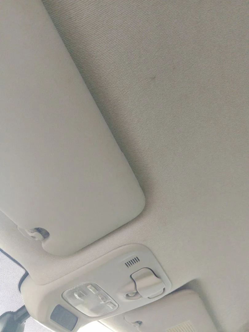 Foto de TECHO INTERIOR CITROEN C3 PICASSO 1.6 16V (120 CV / 88 KW) referencia 833777