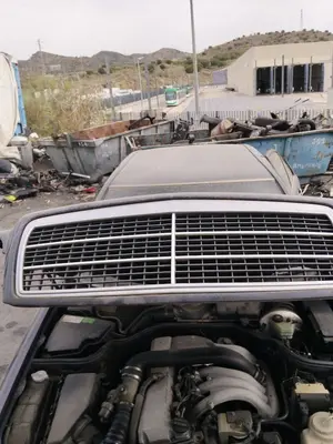 Foto de REJILLA DELANTERA MERCEDES-BENZ CLASE E (BM 210) BERLINA 2.9 Turbodiesel CAT (129 CV / 95 KW)