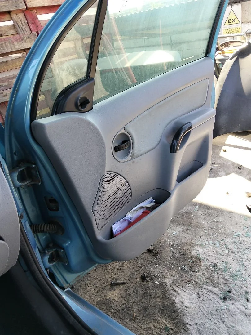 Foto de GUARNECIDO PUERTA DELANTERA DERECHA CITROEN C3 referencia 9331LN