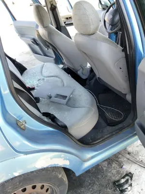 Foto de GOMAS CONTORNO PUERTA CITROEN C3