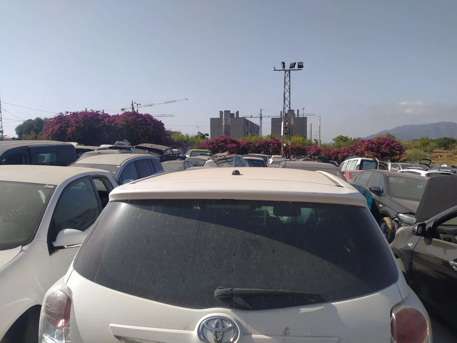 Foto de BASE DE ANTENA TOYOTA VERSO (AUR2/ZGR2) 1.6 D-4D CAT (112 CV / 82 KW) referencia 861010F070