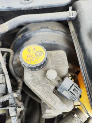 Foto de SERVOFRENO JAGUAR X-TYPE 2.1 V6 24V CAT (156 CV / 115 KW) referencia C2S 31057