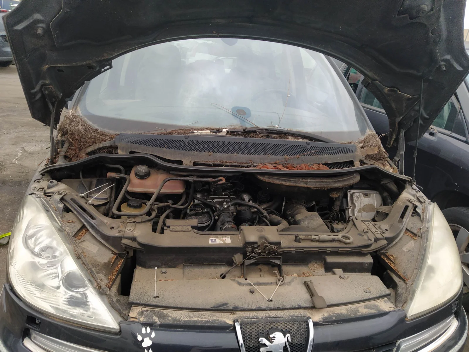 Foto de COMPRESOR AIRE ACONDICIONADO PEUGEOT 807 2.2 HDi FAP CAT (4HW) (128 CV / 94 KW) referencia 9800859180