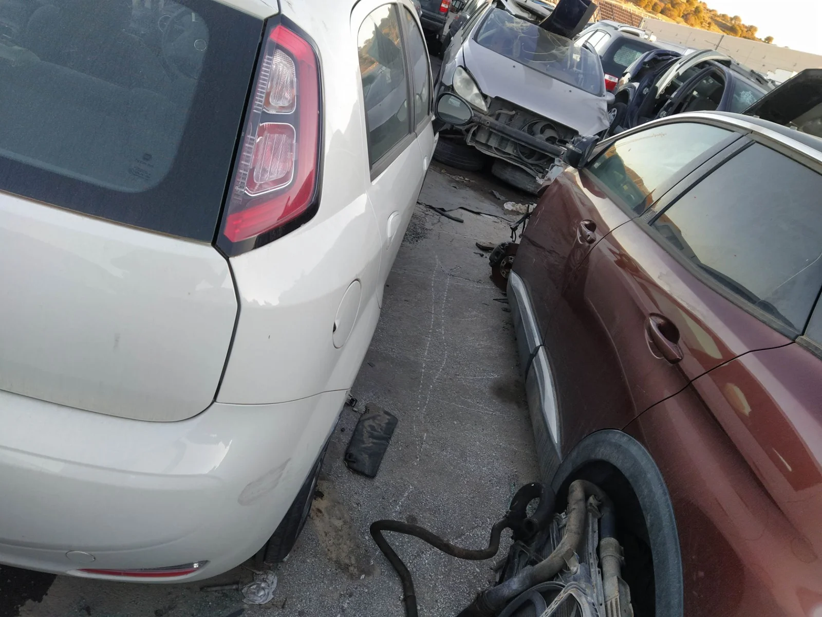 Foto de PUENTE TRASERO FIAT III PUNTO (199) 1.4 CAT (78 CV / 57 KW) referencia 0051804554