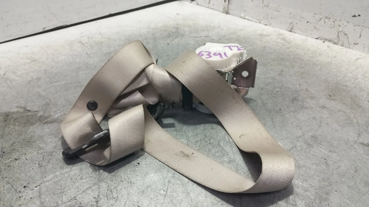 Foto de CINTURON SEGURIDAD TRASERO IZQUIERDO BMW SERIE 5 TOURING (F11) 2.0 Turbodiesel (218 CV / 160 KW) referencia 34079763C