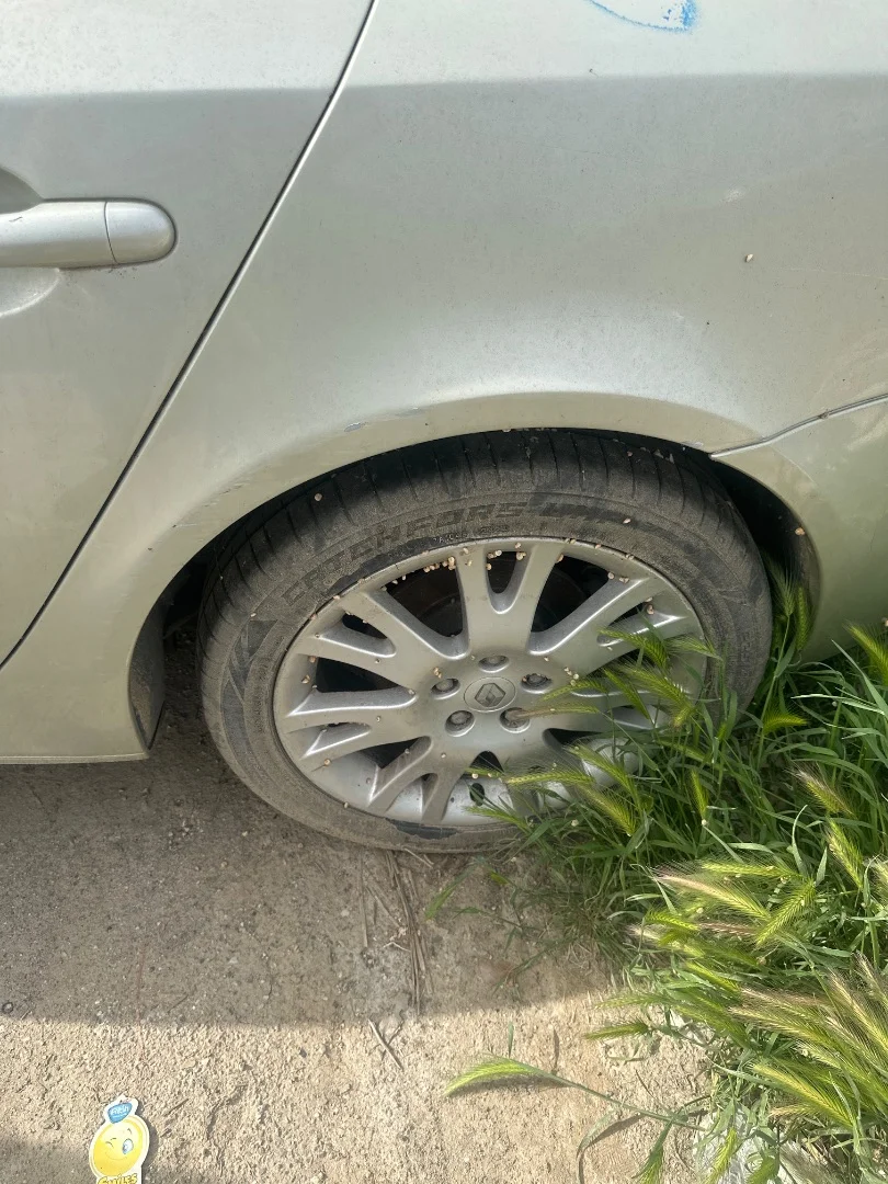 Foto de LLANTA RENAULT LAGUNA II (BG0) 2.0 (135 CV / 99 KW) referencia 8200023769