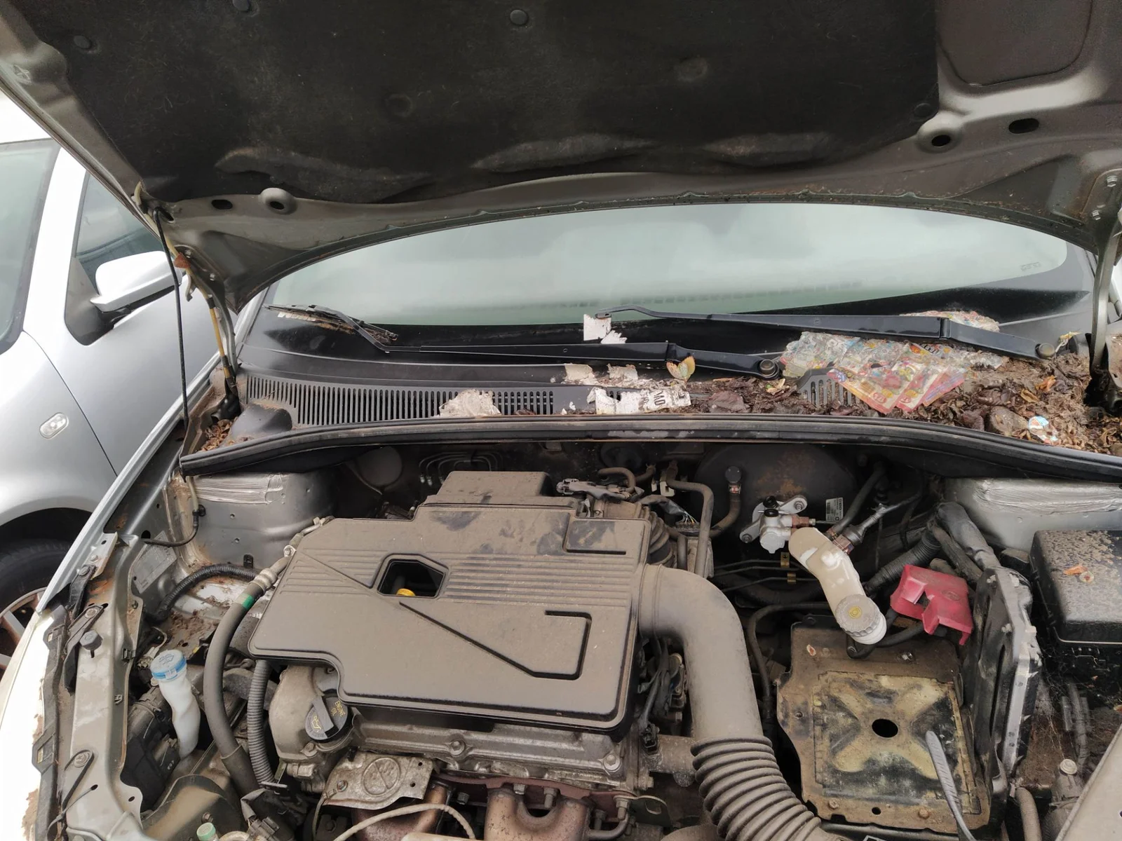Foto de CABLEADO ELECTRICO SUZUKI SX4 (RW/EY) 1.6 16V CAT (107 CV / 79 KW)