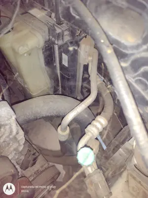 Foto de RADIADOR AGUA KIA RIO (UB) 1.2 CAT (86 CV / 63 KW) referencia 253101R010
