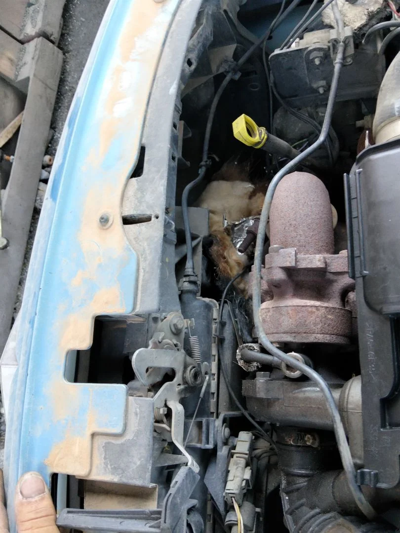 Foto de CONDENSADOR / RADIADOR AIRE ACONDICIONADO CITROEN C3 referencia 6455JF